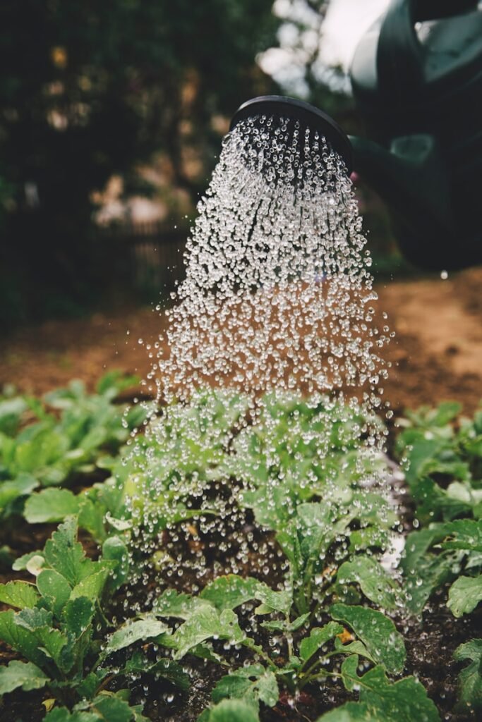 “Can urban farming solve world hunger by providing fresh and sustainable food for growing city populations?”