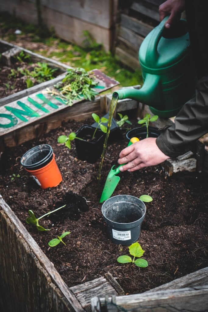 People wonder if urban farming can solve world hunger by reducing food shortages.