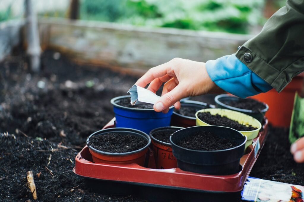 Urban gardening is the practice of growing plants, fruits, and vegetables in urban areas.