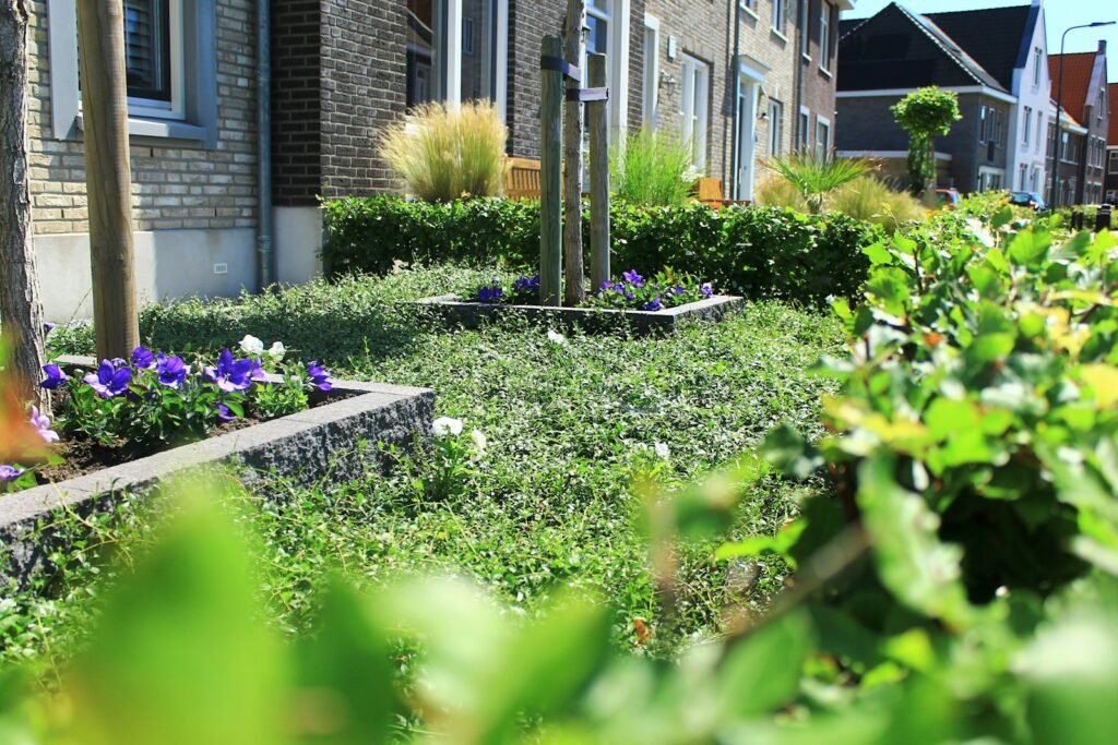 Urban green spaces, among them urban gardens, can provide various benefits to people and wildlife. 