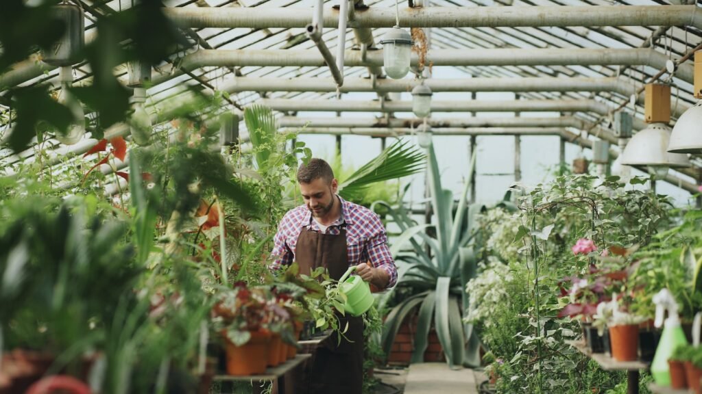 Urban farming occurs when someone living in a city or heavily populated town repurposes their green space to grow food and/or raise smaller animals.
17Urban Farming