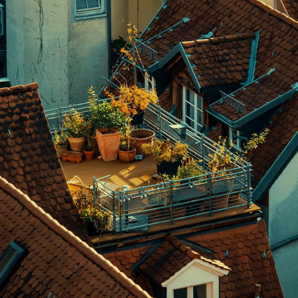 the practice of cultivating plants on a building's roof
