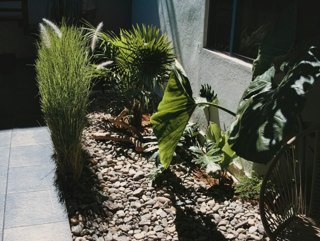 Challenges and Solutions in Organic Urban Gardening
