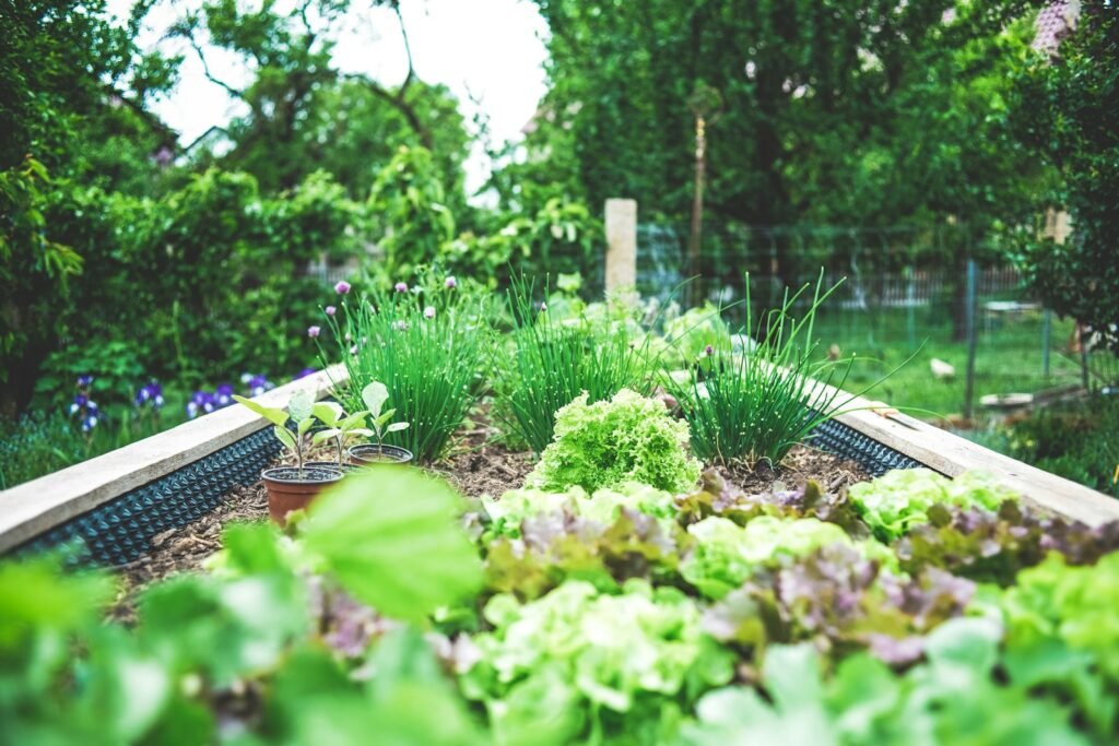 Urban plants complement the green infrastructure of cities