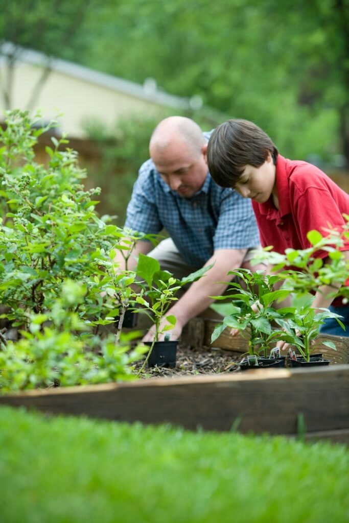 Community gardens provide essential services for local communities, and have even been used to promote resilience during the pandemic.