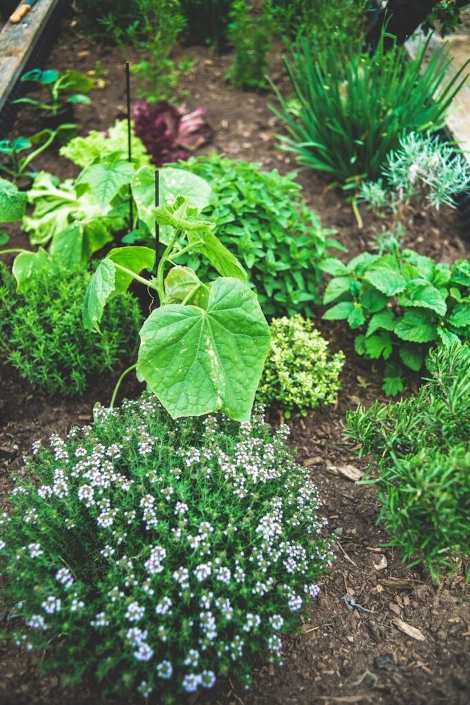 Urban farming is the practice of growing food and raising animals in cities and urban areas. It's also known as urban agriculture.