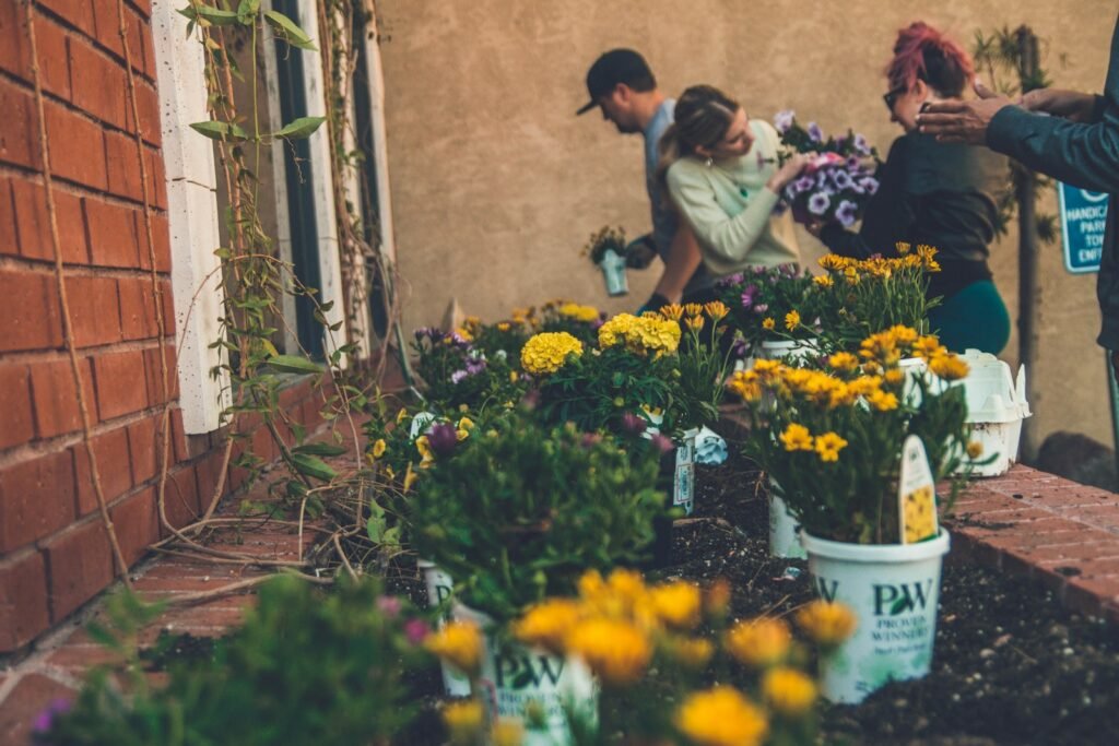 A community garden is a piece of land gardened or cultivated by a group of people individually or collectively.