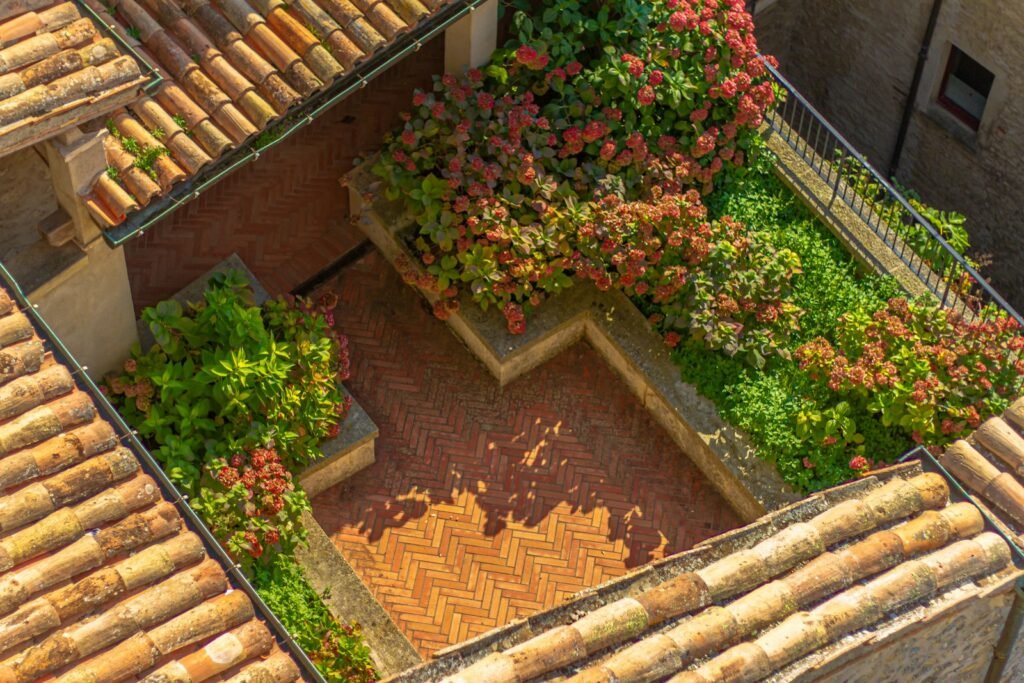 a garden grown on the roof of a building