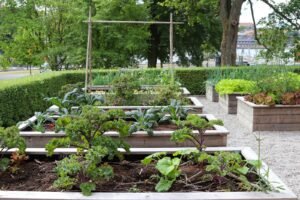 Urban farming and rooftop gardens have the potential to play a crucial role in ensuring food security and enhancing city liveability.