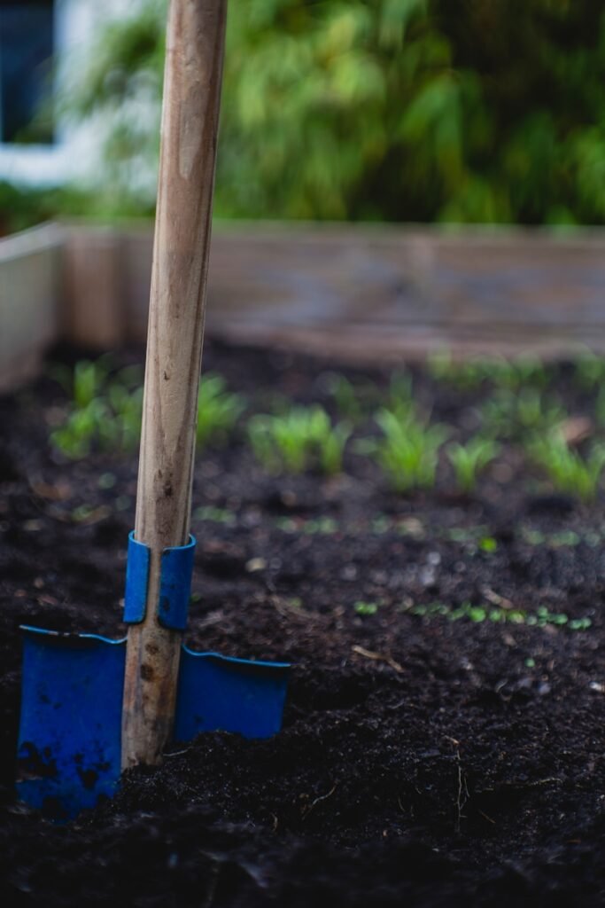 Techniques Of Urban Gardening