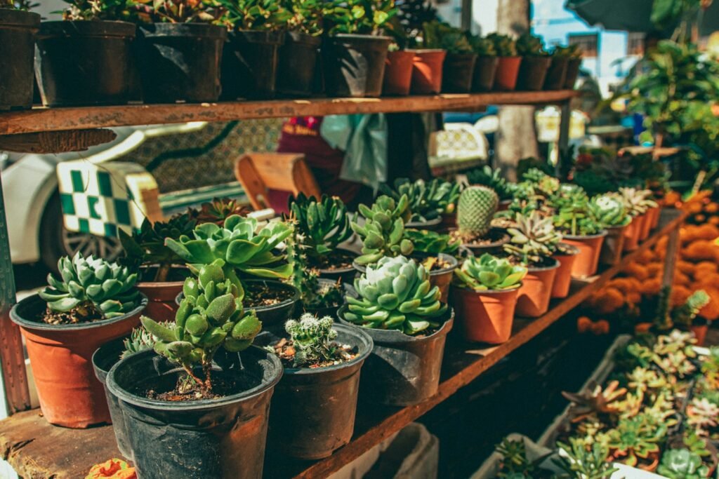 Urban gardening can help you grow your own fruits and vegetables in a sustainable way. 