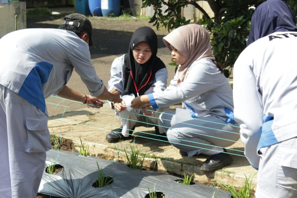 Gardens increase wildlife habitat and give many desirable species the spaces they need to survive. 