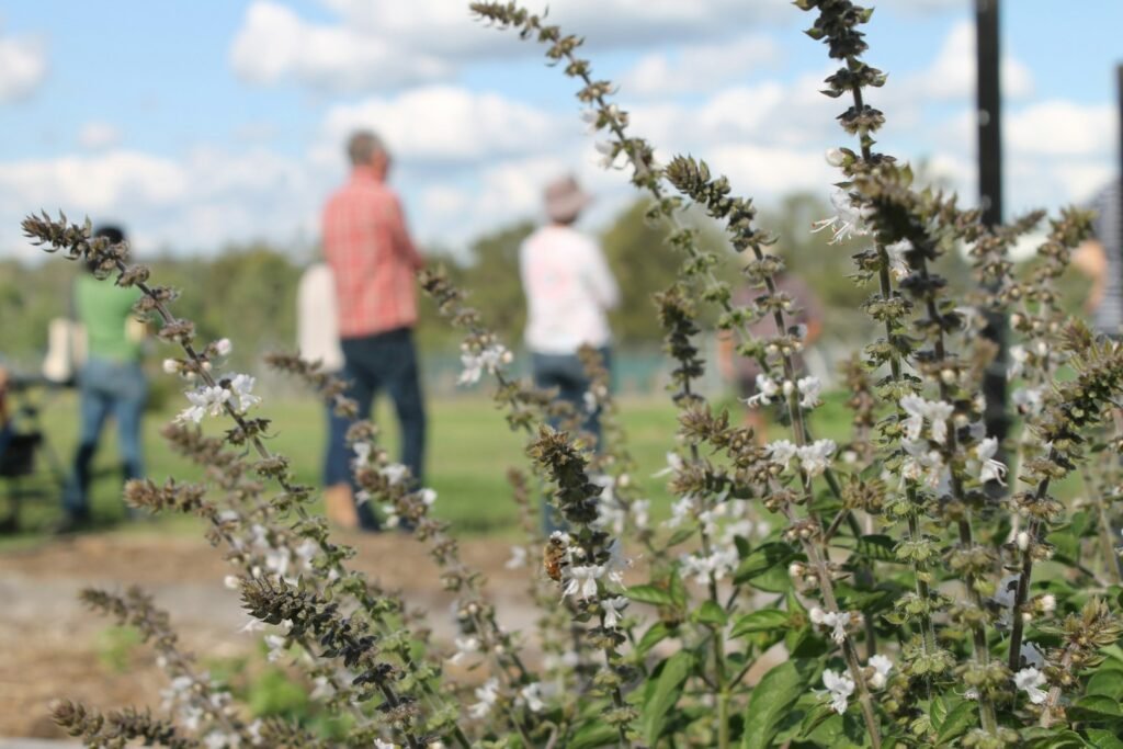A community garden is an outdoor space that is used to grow fruits, vegetables, and other plants collaboratively.