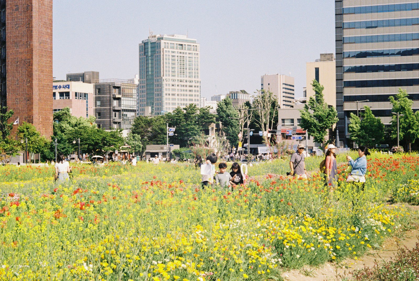 Community members can consume vegetables and, in some cases, fruits grown in a community garden, increasing fresh produce intake.
