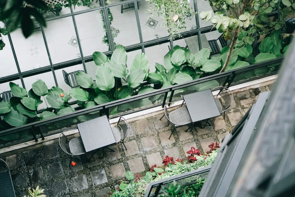 A rooftop garden is something more than a collection of plants. 