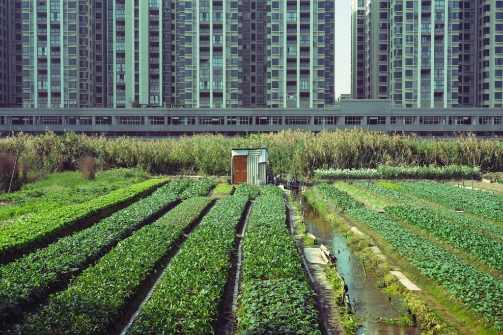 cultivation systems which make minimal use of manufactured chemical substances