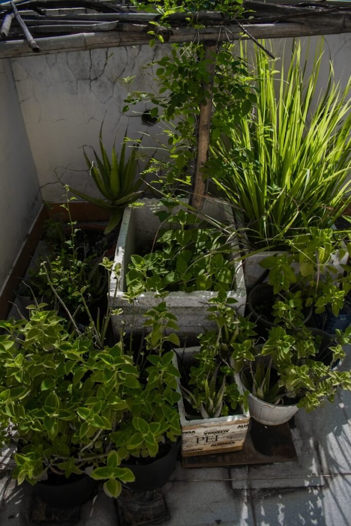 Urban agriculture can benefit a city's food production, economy, environment, and community. 