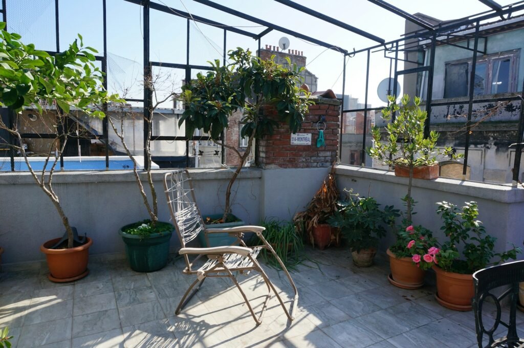 A wide range of plants can be grown on a balcony or roof garden.